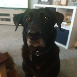 Meet your Posher, Christopher